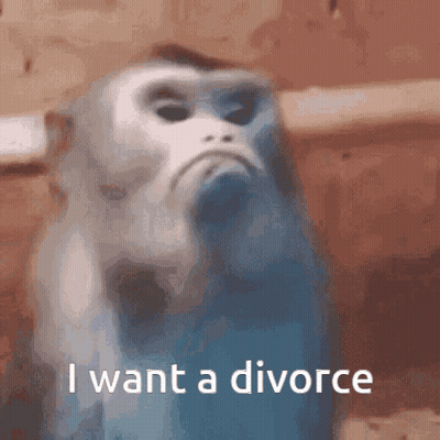 A Monkey Says I Want A Divorce In A Blurry Image GIF
