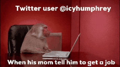 A Monkey Sits At A Desk In Front Of A Laptop With The Twitter User @Icyhumphrey GIF