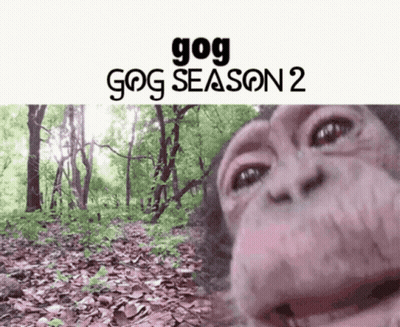 A Monkey Taking A Selfie In The Woods With The Words Gog Season 2 Above It GIF