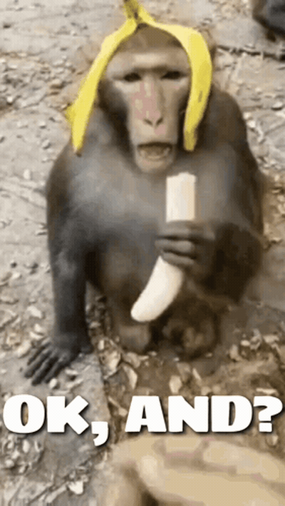 A Monkey Wearing A Banana Hat Is Eating A Banana With The Words " Ok And " Below It GIF
