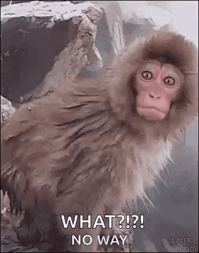 A Monkey Wearing A Hooded Jacket Is Sitting In A Bathtub And Asking What ? No Way . GIF