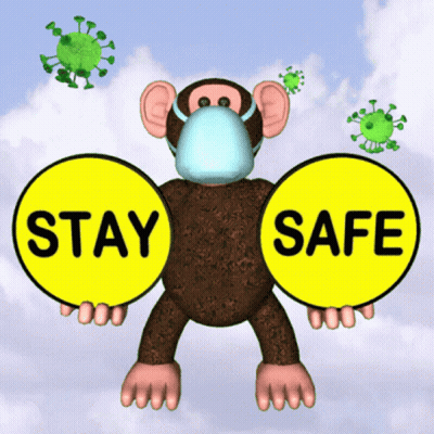 A Monkey Wearing A Mask Is Holding Two Signs That Say " Stay Safe " GIF