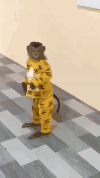 A Monkey Wearing A Yellow Adidas Outfit Is Standing On A Checkered Floor GIF