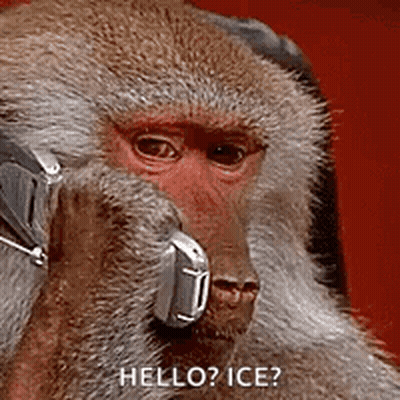 A Monkey Wearing Headphones Is Talking On A Cell Phone And Says `` Hello ? Ice ? '' GIF
