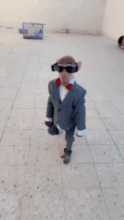 A Monkey Wearing Sunglasses And A Suit Stands On A Tiled Floor GIF