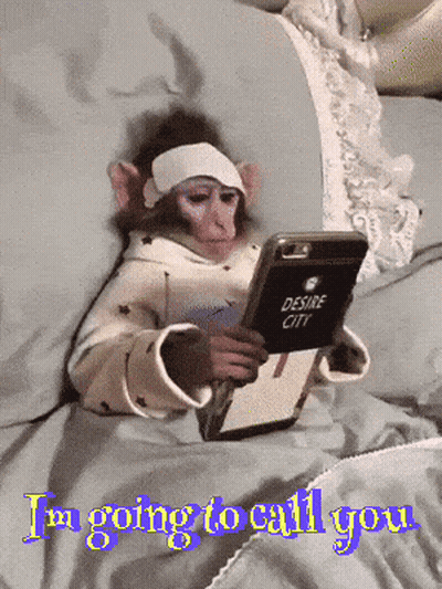 A Monkey With A Bandage On Its Head Is Holding A Cell Phone With Desire City On It GIF