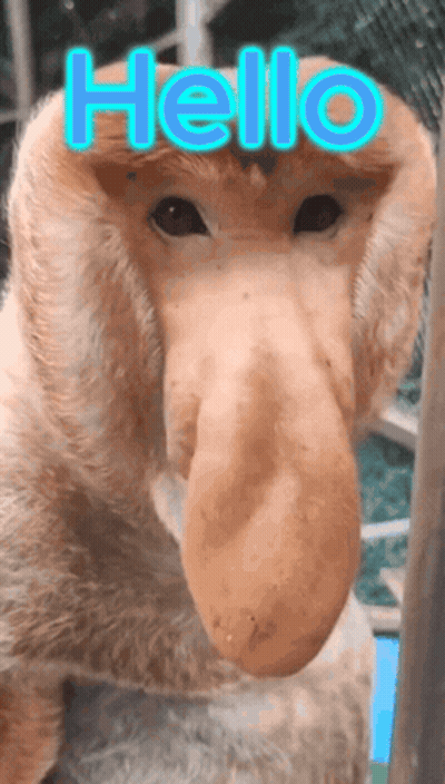 A Monkey With A Big Nose Says Hello In Blue GIF