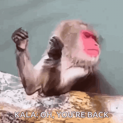 A Monkey With A Red Face Is Laying On A Rock And Says Kala Oh You 'Re Back . GIF