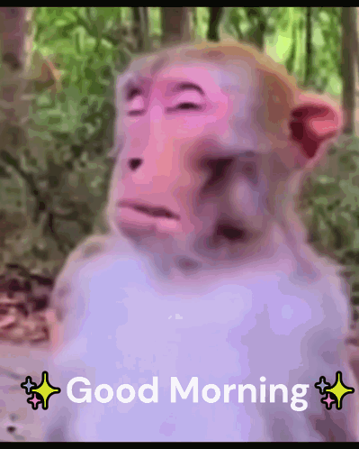 A Monkey With Its Eyes Closed And The Words " Good Morning " On The Bottom GIF