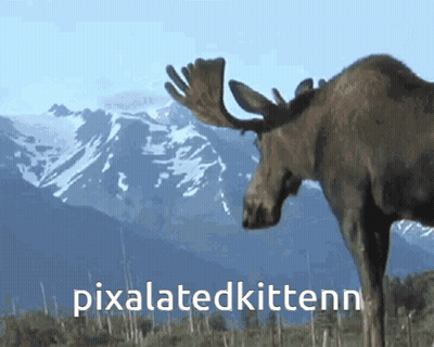 A Moose Standing In Front Of A Mountain With The Words Pixelatedkittenn Below It GIF