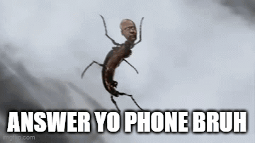 A Mosquito With A Man 'S Face On It Is Flying Through The Air With The Caption `` Answer Yo Phone Bruh '' . GIF