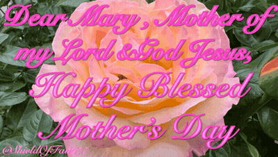 A Mother 'S Day Card With A Pink Flower And The Words Dear Mary Mother Of My Lord And God Jesus GIF