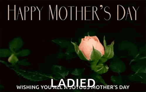 A Mother 'S Day Card With A Pink Rose GIF