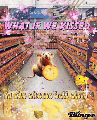A Mouse Is Holding A Piece Of Cheese In A Grocery Store Aisle With The Words What If We Kissed In The Cheese Ball GIF