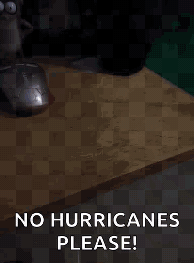 A Mouse Is Sitting On A Wooden Table With The Words No Hurricanes Please Written On It . GIF
