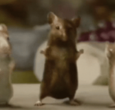A Mouse Is Standing On Its Hind Legs In Front Of Two Other Mice GIF