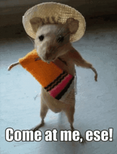 A Mouse Wearing A Sombrero And Carrying A Scarf Says Come At Me Ese ! GIF