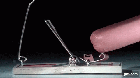 A Mousetrap With A Sausage Sticking Out Of It And A Gifs.com Icon In The Corner GIF