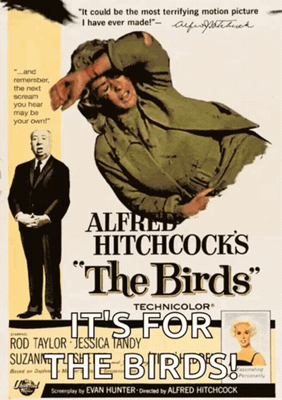 A Movie Poster For Alfred Hitchcock 'S Birds GIF
