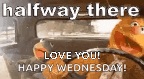 A Muppet Is Driving A Car With The Words `` Halfway There Love You Happy Wednesday '' Written On It . GIF