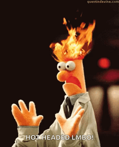 A Muppet With Flames Coming Out Of His Head And The Words Hot Headed Lmbo GIF