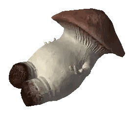 A Mushroom With A Brown Hat And A White Body Sticker