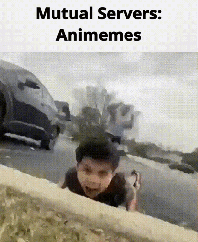 A Mutual Servers Animemes Meme With A Boy Crawling On The Sidewalk GIF