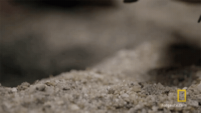 A National Geographic Logo Can Be Seen On The Bottom Of A Pile Of Sand GIF