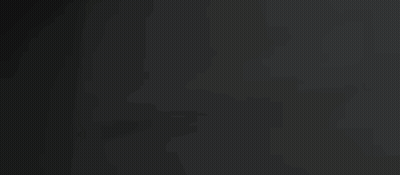 A Neon Sign That Says Jungle Camo On A Dark Background GIF