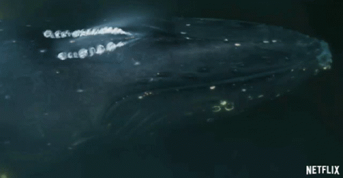A Netflix Ad Shows A Whale Blowing Water GIF