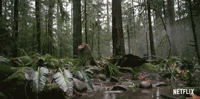 A Netflix Logo Is Displayed In The Background Of A Forest GIF