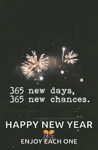 A New Year Greeting Card With Fireworks And The Words 365 New Days 365 New Chances GIF