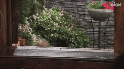 A Nick Logo Can Be Seen On A Window GIF