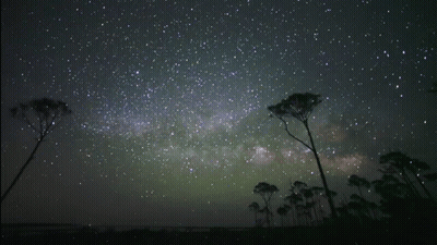A Night Sky Filled With Lots Of Stars With Trees In The Foreground GIF