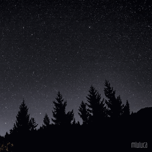 A Night Sky With A Crescent Moon And The Words Disfruta De Tus Aventuras Dentro Del Bosque De Tus Sueños GIF