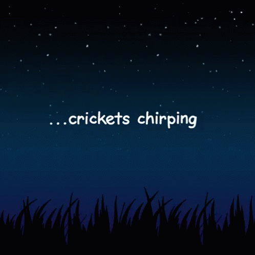 A Night Sky With Stars And The Words Crickets Chipping GIF