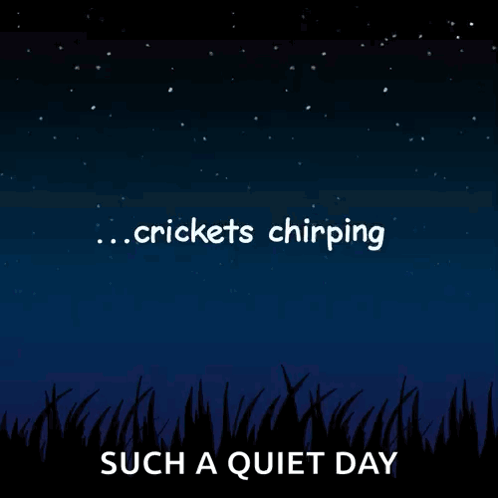 A Night Sky With The Words Crickets Chirping Such A Quiet Day Written On It GIF