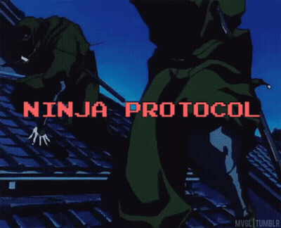 A Ninja Is Holding A Sword In The Air With The Words Ninja Protocol Below Him GIF