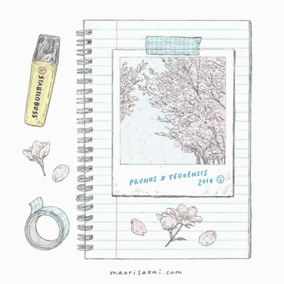 A Notebook With A Picture Of A Cherry Blossom Tree And The Year 2016 GIF