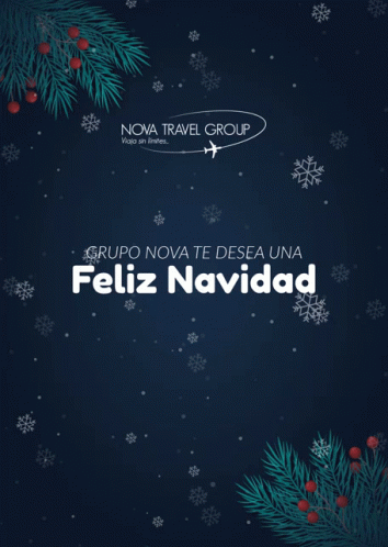 A Nova Travel Group Christmas Card With Snowflakes And Pine Branches GIF