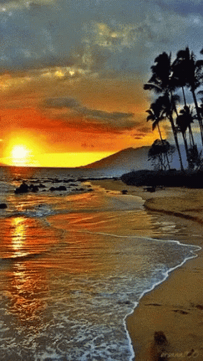 A Painting Of A Beach With Palm Trees In The Foreground And A Sunset In The Background GIF