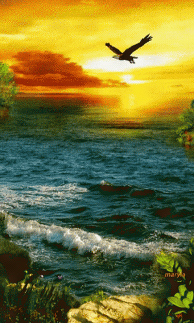 A Painting Of A Bird Flying Over A Body Of Water With The Name Mary On The Bottom GIF