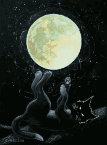 A Painting Of A Black Cat Laying On A Branch With A Full Moon In The Background GIF