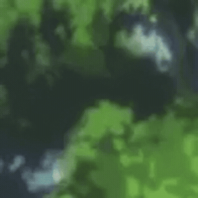 A Painting Of A Butterfly Flying Through The Trees GIF