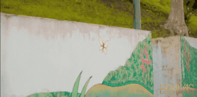 A Painting Of A Butterfly On A Wall With The Word Bragas On The Bottom GIF