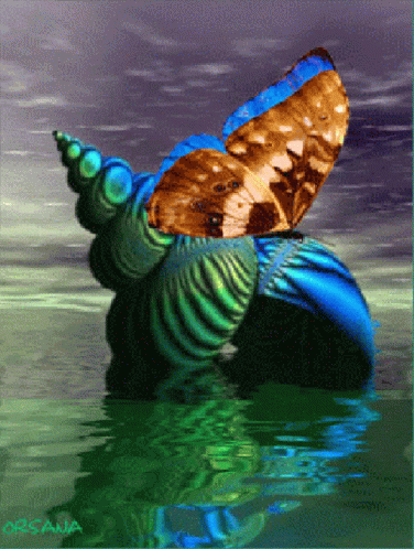 A Painting Of A Butterfly Sitting On A Sea Shell In The Water GIF