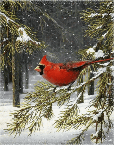 A Painting Of A Cardinal Sitting On A Snowy Branch GIF