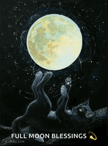 A Painting Of A Cat Laying On Its Back Holding A Full Moon GIF