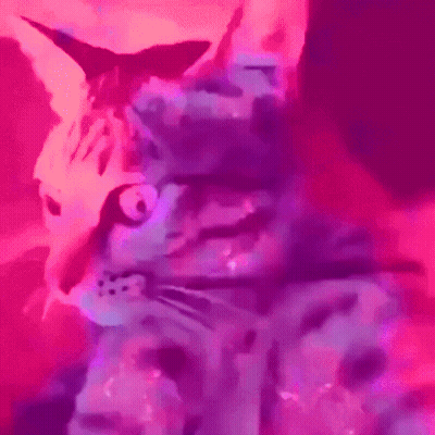 A Painting Of A Cat With A Purple And Pink Background . GIF