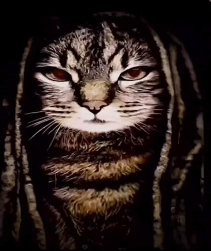 A Painting Of A Cat With Dreadlocks On It GIF